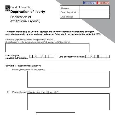 Document preview: Understanding the COP DLB Form for Urgent Legal Needs — Legal & justice