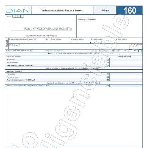 Vista previa del documento Evolución de la Declaración Anual de Activos en el Exterior en — Impuestos (CERFA n°F160-2022)