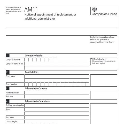 Document preview: Understanding the AM11 Document for Effective Company Management — Legal & justice