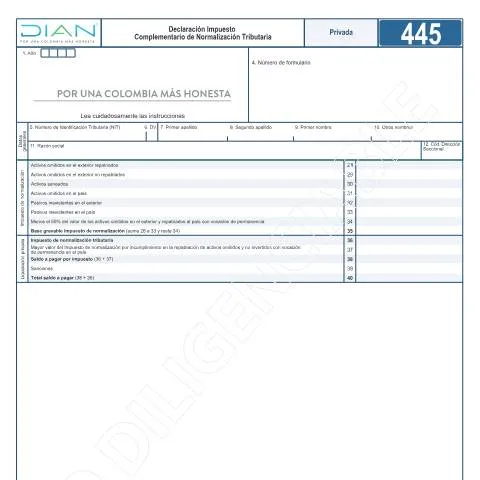 Vista previa del documento Declaración del Impuesto Normalización Tributaria 2022 en Colombia — Impuestos (CERFA n°F445-2022)