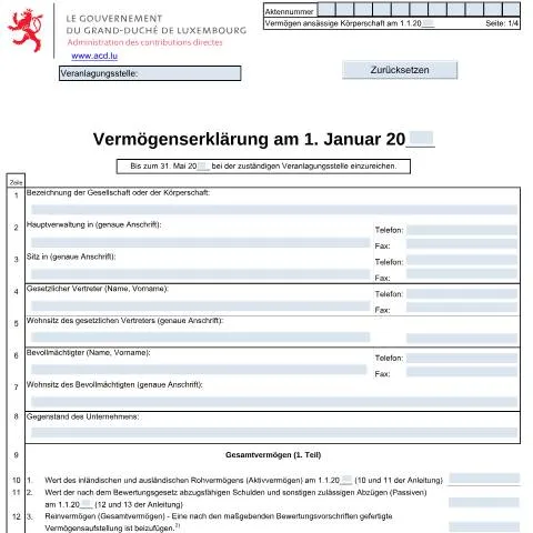 Aperçu du document Comprendre la Vermögenserklärung pour les sociétés à Luxembourg — Impôts & fiscalité (CERFA n°Fort. 2 D)