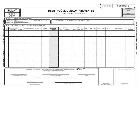 Vista previa del documento Importancia del Formulario 2046 en la formalización empresarial — Trámites administrativos (CERFA n°2046)