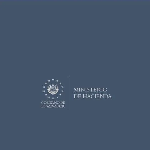 Vista previa del documento Optimiza tu Reintegro de IVA con la Guía F-28-V3 — Impuestos (CERFA n°F-28-V3)