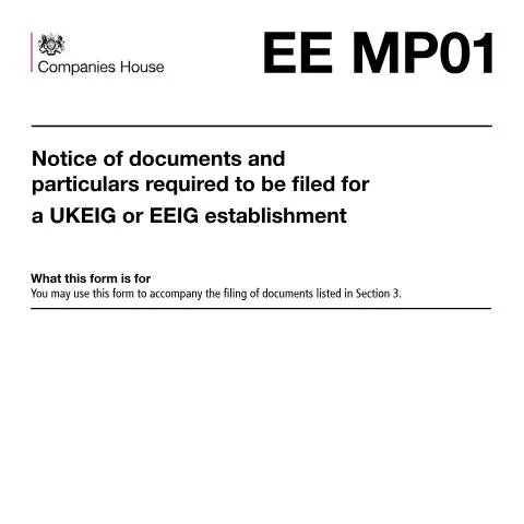 Document preview: Navigating the EE MP01 Document for UKEIG — Government & admin