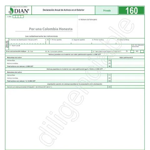 Vista previa del documento Guía para declarar activos en el exterior en Colombia 2019 — Impuestos (CERFA n°F160-2019)