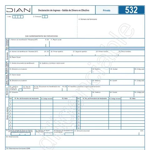 Vista previa del documento Todo sobre la Declaración de Ingreso - Salida de Dinero en Efectivo — Impuestos (CERFA n°F532-2022)