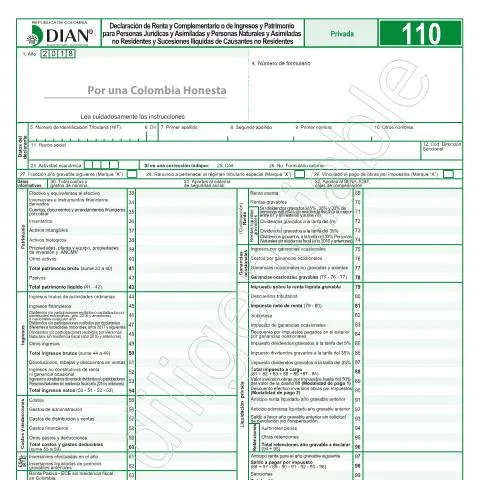 Vista previa del documento Declaración de renta y complementario 2019 Colombia — Impuestos (CERFA n°F110-2019)