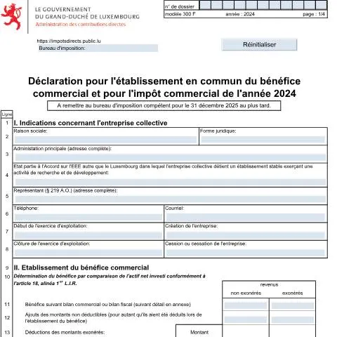 Aperçu du document Comprendre la déclaration 300 F pour les entreprises collectives — Impôts & fiscalité (CERFA n°300 F)
