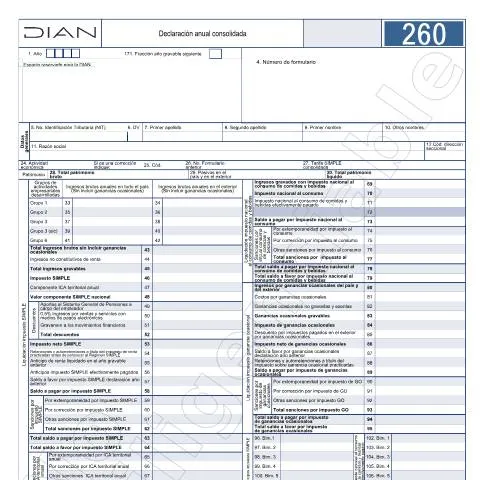 Vista previa del documento Declaración anual consolidada en Colombia 2026: requisitos y — Impuestos (CERFA n°F260-2026)