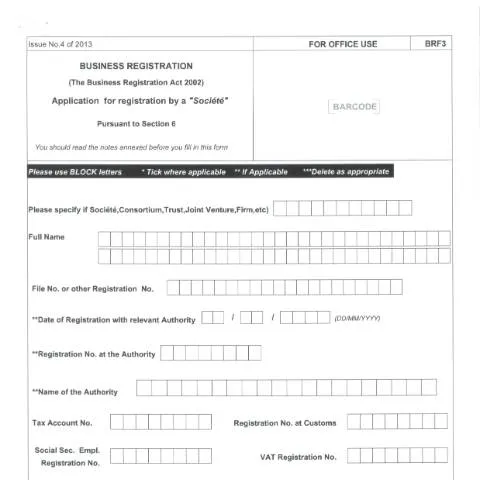 Document preview: Understanding the Importance of the BRF3 Document in Mauritius — Government & admin (CERFA n°BRF3-1)
