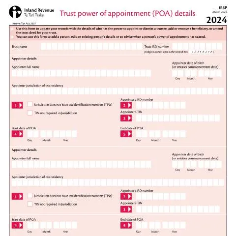 Document preview: Navigating the Trust Power of Appointment Form IR6P — Taxes (CERFA n°IR6P)