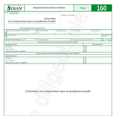 Vista previa del documento Importancia de la Declaración Anual de Activos en el Exterior — Impuestos (CERFA n°F160-2016)