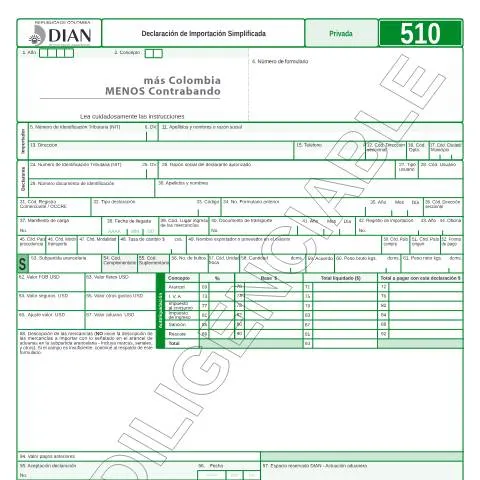 Vista previa del documento Importancia de la Declaración de Importación Simplificada F510-2013 — Trámites administrativos (CERFA n°F510-2013)