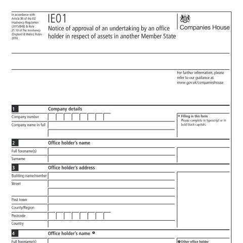 Document preview: Navigating the IE01: Key Insights for Directors and Practitioners — Business