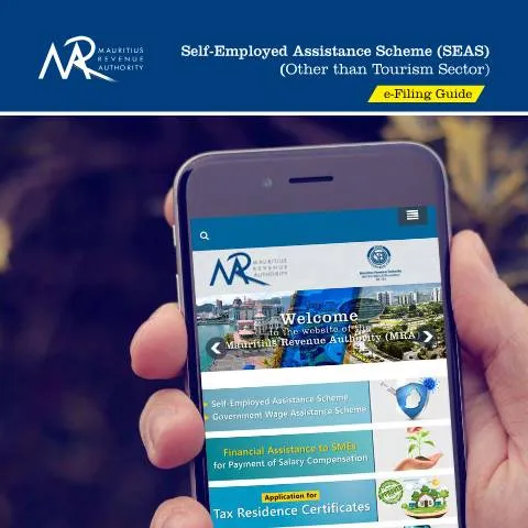 Document preview: Comprehensive e-Filing Guide for SEAS Applicants — Taxes (CERFA n°SEASGuide)