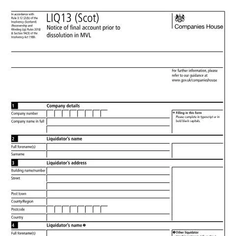 Document preview: Understanding the LIQ13 (Scot) Document for Company Dissolution — Business