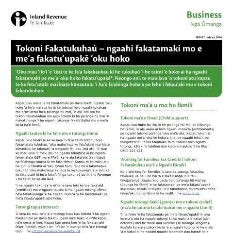 Document preview: Understanding the IR505 Tongan Form for Tax Relief — Taxes (CERFA n°IR505T)