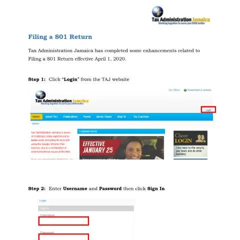 Document preview: Understanding the S01 Filing Form in Jamaica: A Complete Overview — Government & admin (CERFA n°Filing+S01+effective+April+1,+2020.+(v3))