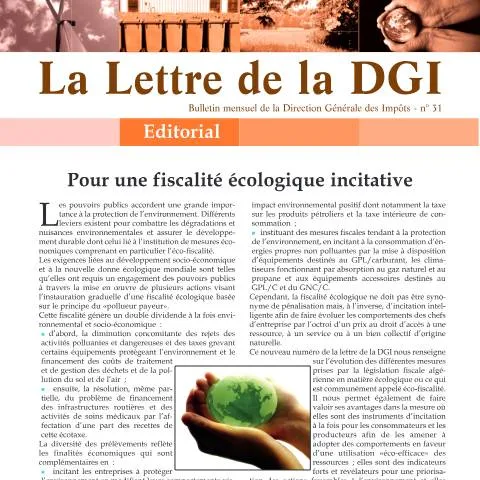 Aperçu du document LDGI 31 : Comprendre son rôle dans vos obligations fiscales — Démarches administratives (CERFA n°LDGI 31)