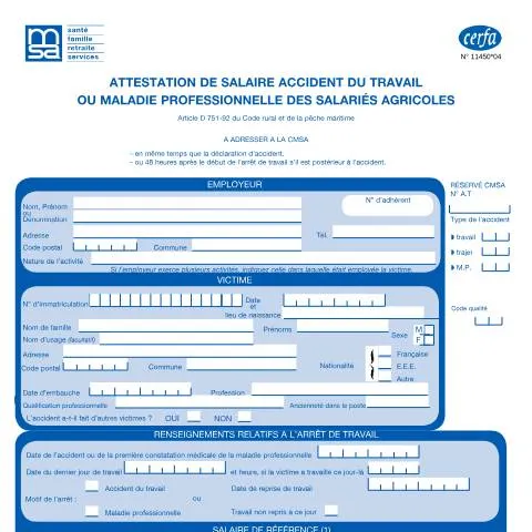 Aperçu du document Comment remplir l'attestation de salaire pour accident agricole — Santé (CERFA n°11450*04)