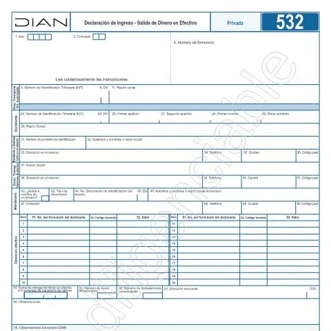 Vista previa del documento Guía Completa sobre la Declaración de Ingreso - Salida Dinero en — Aduanas y comercio (CERFA n°F532-2025)