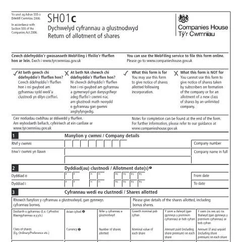 Document preview: Complete Guide to the Return of Allotment of Shares (SH01c) — Business