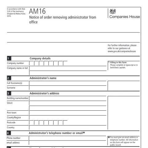 Document preview: Essential Steps for Completing the AM16 Form — Business