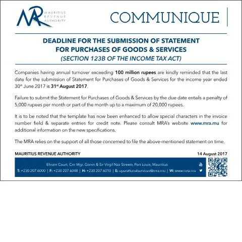 Document preview: Understanding the Goods and Services Statement Submission Deadline — Government & admin (CERFA n°GoodsandServices)