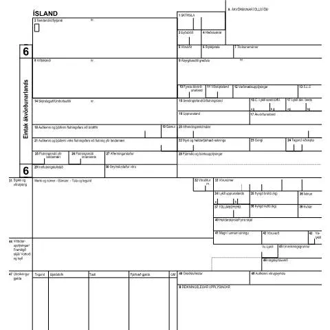 Document preview: Innflutningsskýrsla SAD-E2.1-6: Ferlið og kröfur — Tollur & innflutningur