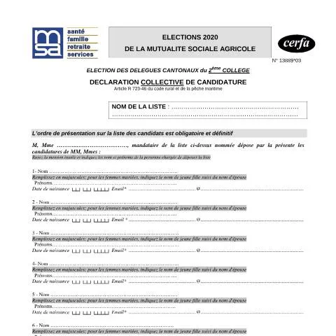 Aperçu du document Comment déclarer sa candidature pour les élections MSA du 2ème collège — Démarches administratives (CERFA n°13889*03)