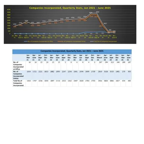 Document preview: Understanding the Impact of Quarterly Business Incorporation Stats — Government & admin (Companies-Incorporated-Quarterly-Stats-Jan-2021-June-2025)