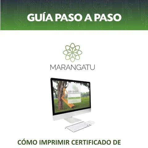 Vista previa del documento Guía para solicitar el Certificado de Cumplimiento Tributario en línea — Impuestos