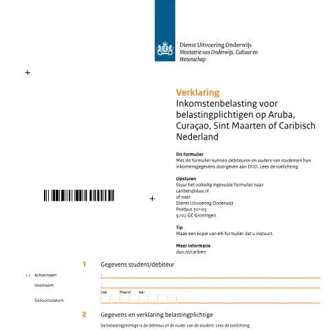 Documentvoorvertoning: Belang van de Verklaring Inkomstenbelasting voor belastingplichtigen — Belastingen