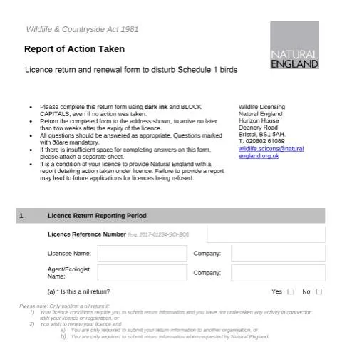 Document preview: Essential Guide to Reporting Wild Bird Actions — Government & admin