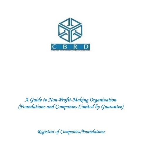 Document preview: Comprehensive Overview of the ROC Guide for NPOs — Government & admin (ROC-Guide-for-NPOs-1)