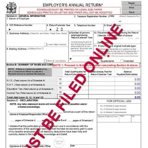 Document preview: Understanding the S02 Employer's Annual Return in Jamaica — Taxes (CERFA n°s02_sch_a_online)