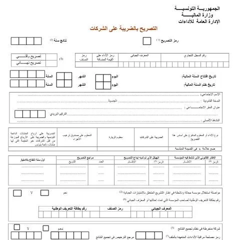 Aperçu du document Guide sur la déclaration de la taxe sur les sociétés en Tunisie — Démarches administratives