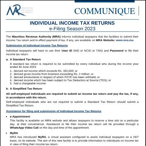 Document preview: Essential Steps for e-Filing Your Income Tax Returns 2023 — Taxes (CERFA n°FilingSeason2023)