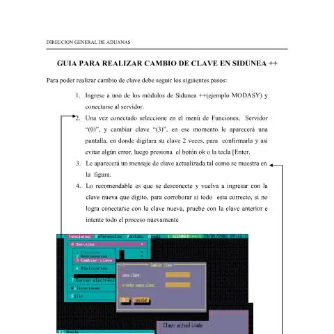 Vista previa del documento Importancia del cambio de clave en SIDUNEA — Trámites administrativos (CERFA n°PMHDC8302)
