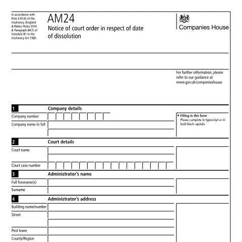 Document preview: The Importance of the AM24 Court Order in Company Dissolution — Business