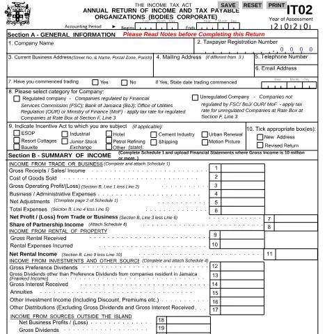 Document preview: Understanding the Jamaica IT02 Corporate Income Tax Return — Government & admin (CERFA n°IT02_08022021)