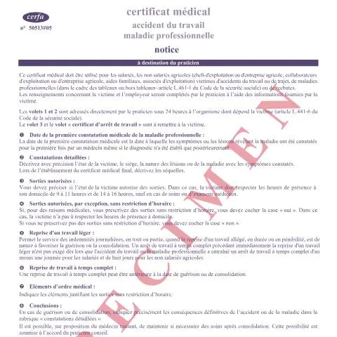 Aperçu du document Formulaire 11138*0 : le certificat médical d'accident du travail — Santé (CERFA n°11138*0)