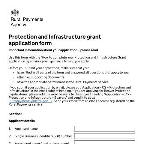 Document preview: Mastering the Protection and Infrastructure Grant Application Process — Government & admin