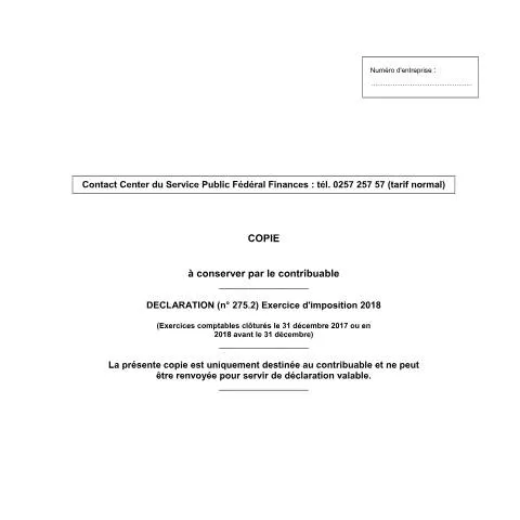 Aperçu du document Comprendre la déclaration des non-résidents-sociétés en Belgique — Impôts & fiscalité (CERFA n°121-275-2-declaration-2018)