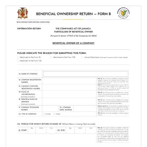 Document preview: Understanding BOR Form B: Compliance for Jamaican Companies — Government & admin (CERFA n°BOR_FORM_B_19092023)