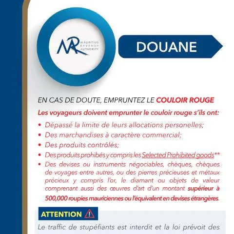 Document preview: Understanding the PassengerInfoFrench Document for Travelers — Government & admin (PassengerInfoFrench)