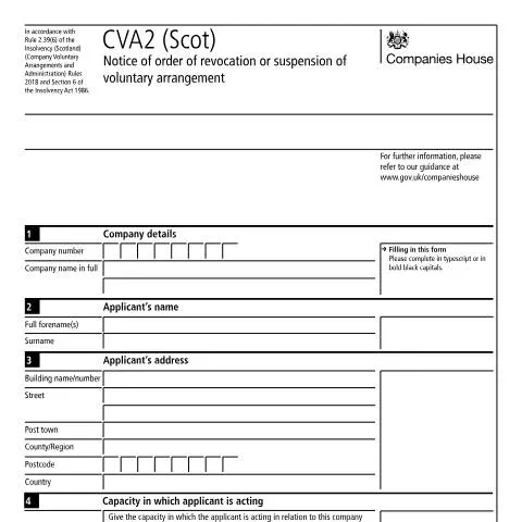 Document preview: Understanding the CVA2 (Scot) Process for Companies — Business