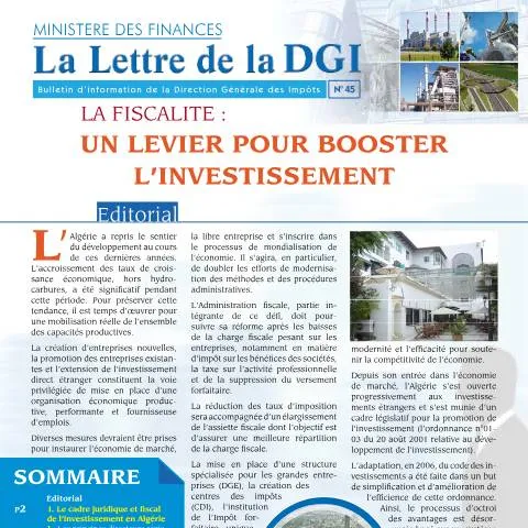Aperçu du document La lettre LDGI 45 : un outil essentiel pour vos déclarations fiscales — Démarches administratives (CERFA n°LDGI 45)