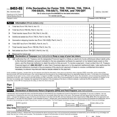 Document preview: A Comprehensive Guide to IRS Form 8453-EG — Taxes (CERFA n°8453EG)