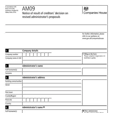 Document preview: Understanding the Creditor's Decision Result Notice (AM09) — Business